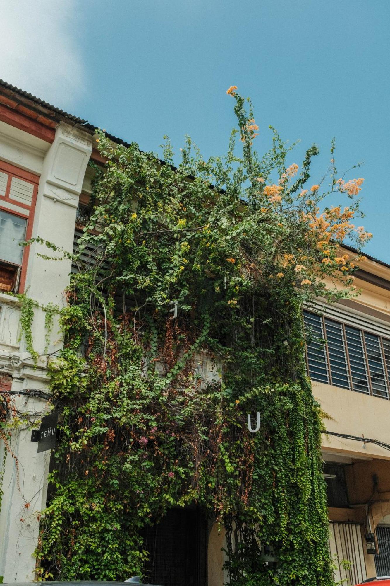 Rumah tetamu Frenz Republic - Self Check In Georgetown